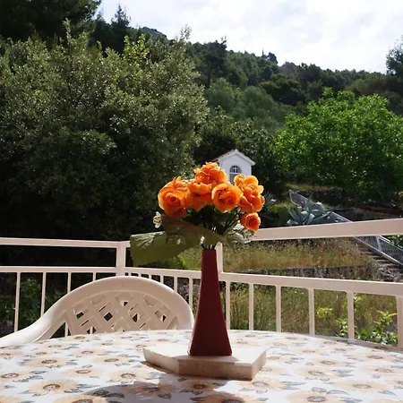 Nada Guest house