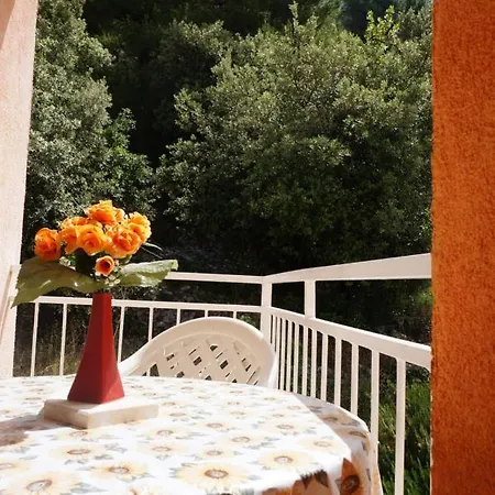 Nada Guest house
